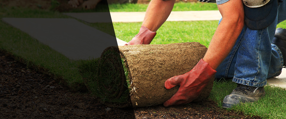 Boyce Landscapers